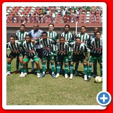 Palmerinha_novalima_campeao