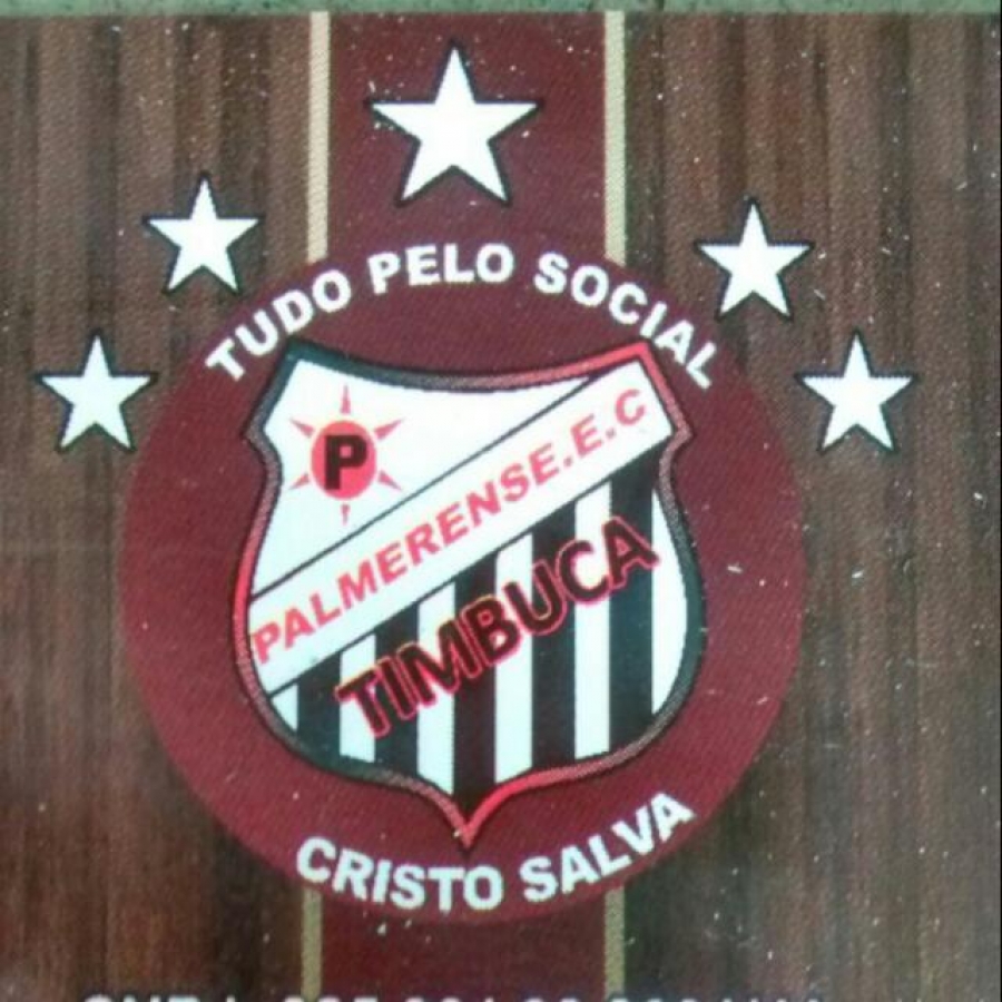 (MEU TIME) Palmeirense EC – Timbuca/BH – Festival Especial de Aniversário!