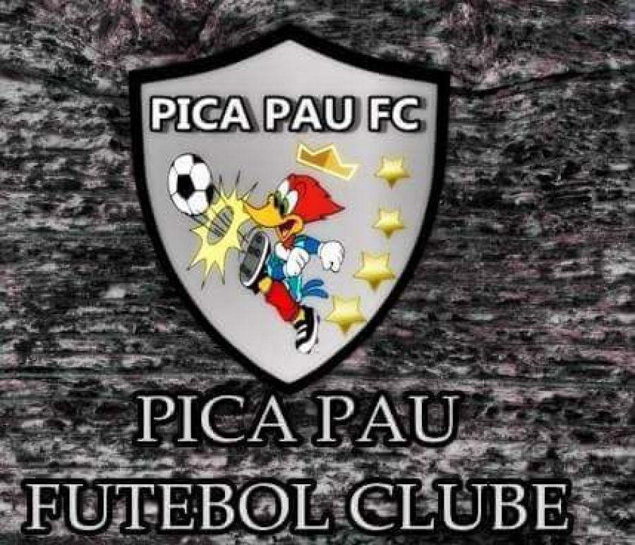 (MEU TIME FC) Pica-Pau FC (BH) 2019